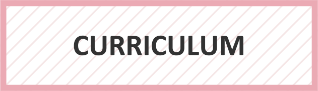 CURRICULUM