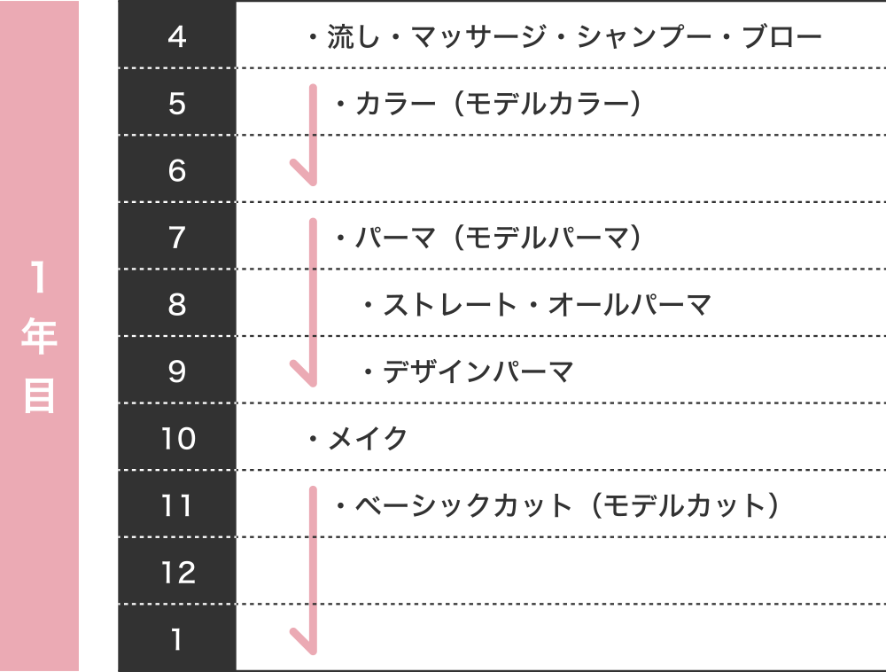 HMG キャリア 1年目