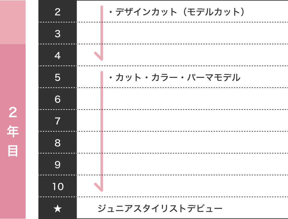 HMG キャリア 2年目以降