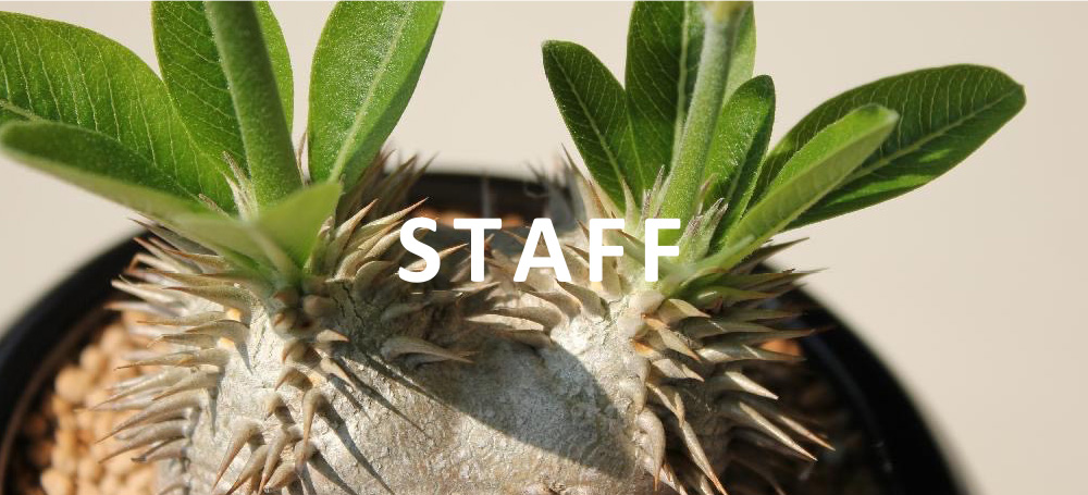 STAFF